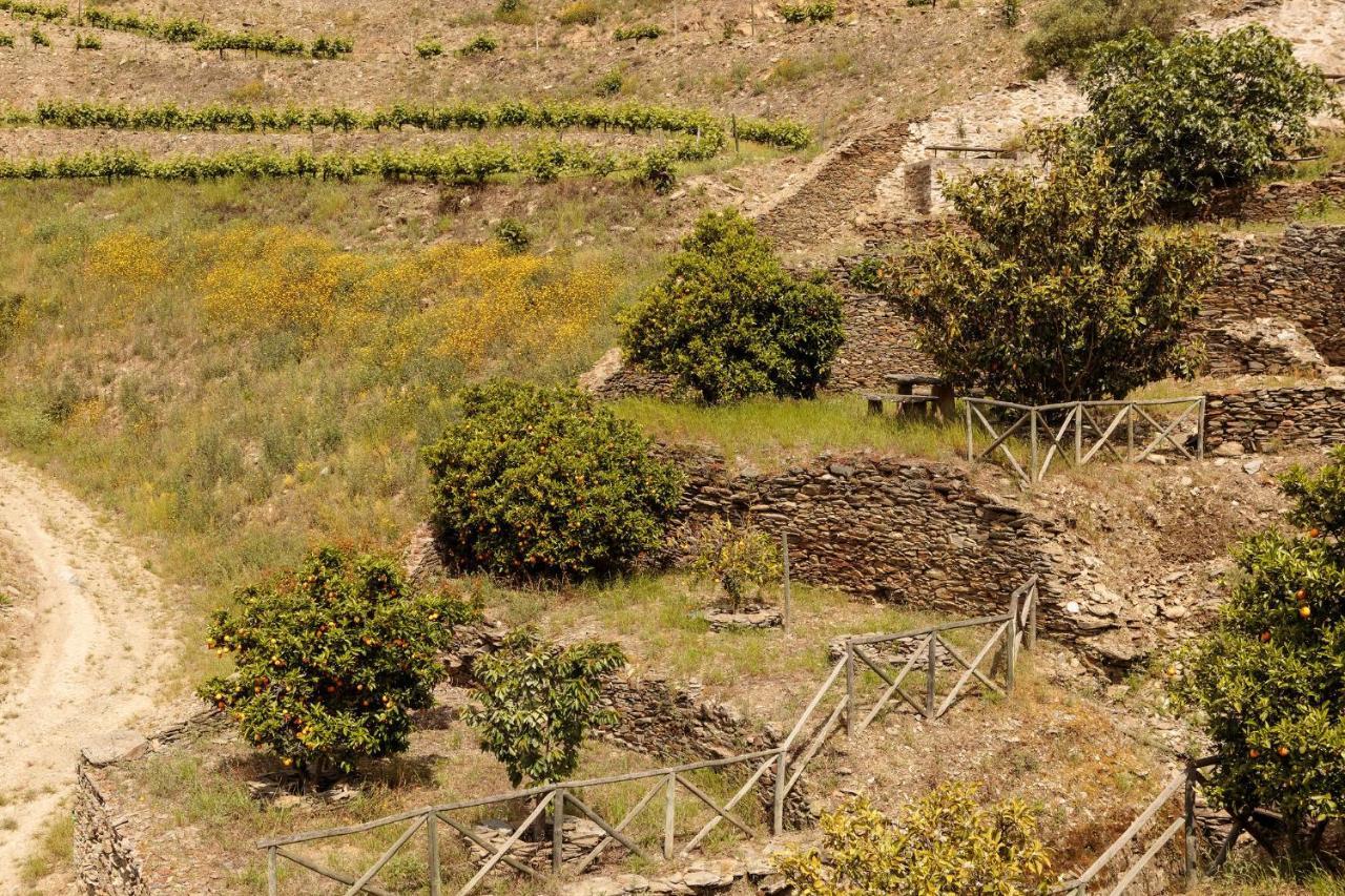 Quinta Nova Winery House - Relais&Châteaux Pinhão Exterior foto